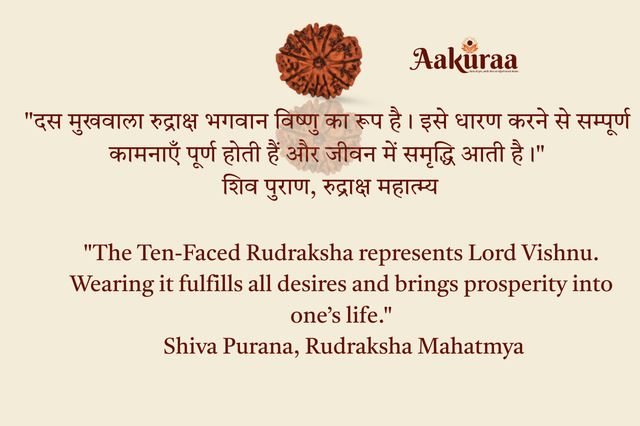 10 Mukhi Nepali Rudraksha