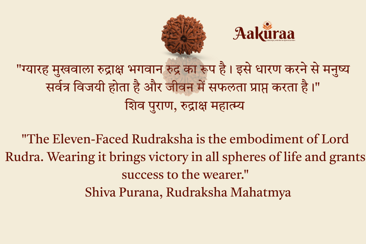 11 Mukhi Nepali Rudraksha