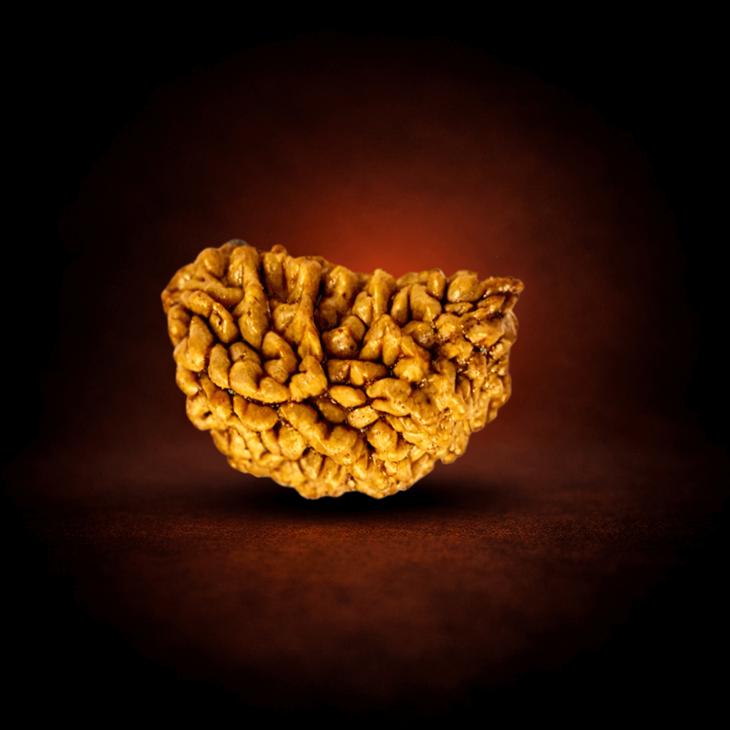 One Mukhi Rudraksha