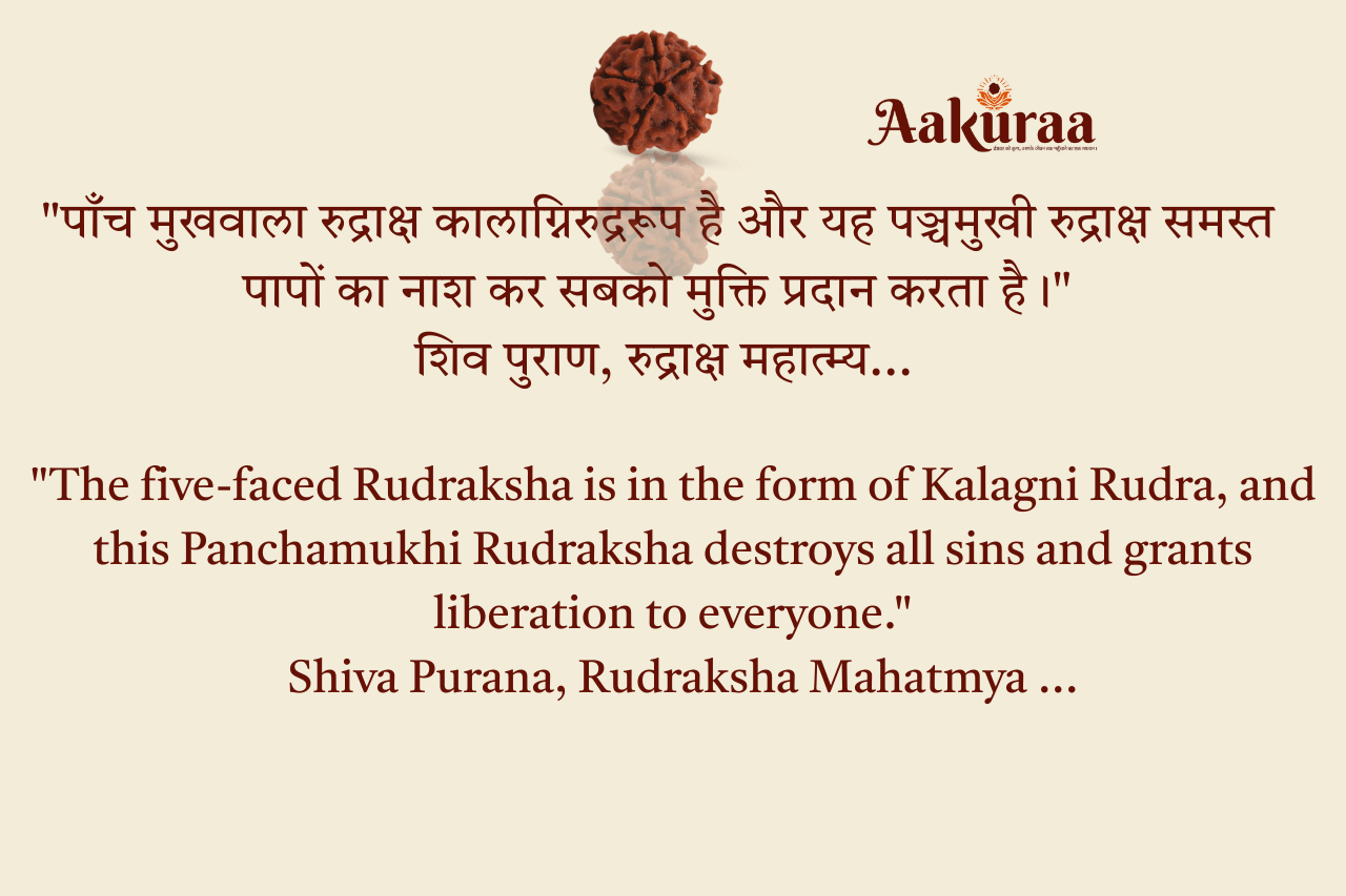 5 Mukhi Nepali Rudraksha