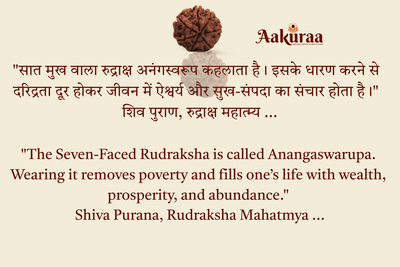7 Mukhi Nepali Rudraksha Original and Mantra Card