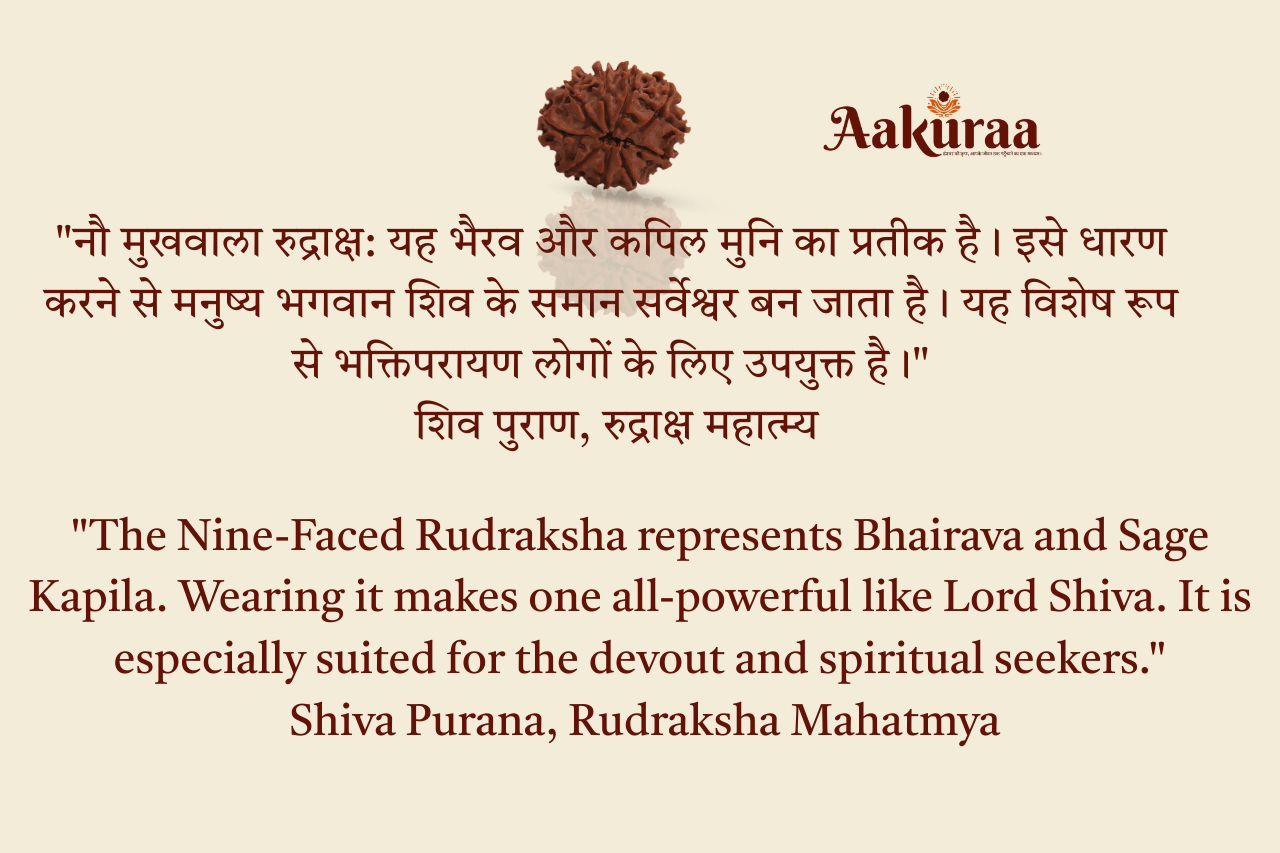 9 Mukhi Nepali Rudraksha