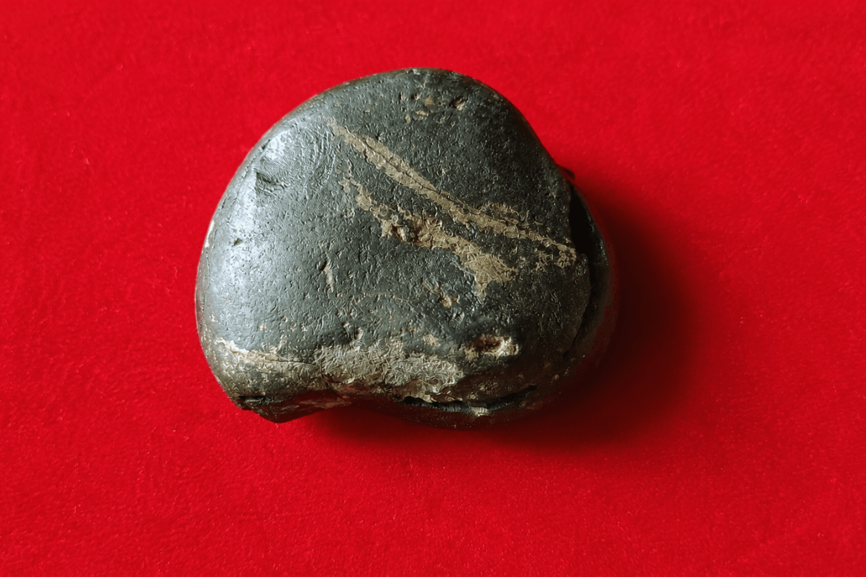 Kali Gandaki Natural Shaligram Shila