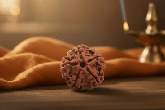 5 Mukhi Nepali Rudraksha