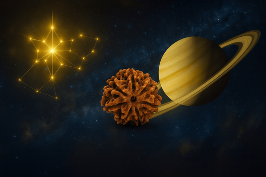 Relationship of 7 Mukhi Rudraksha with Anuradha Nakshatra and Saturn (Shani)
