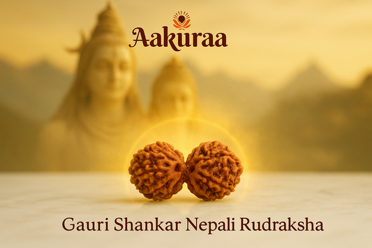 Gauri Shankar Nepali Rudraksha