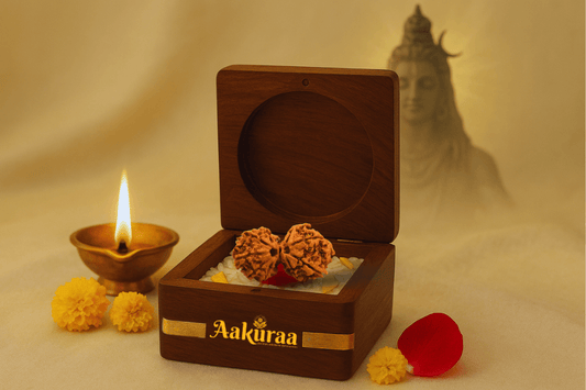 Rudraksha - Lord Shiva