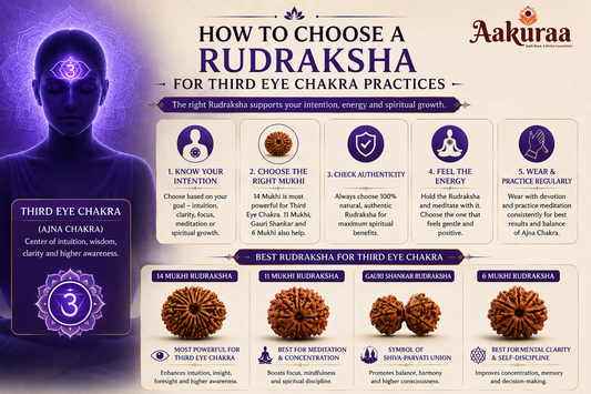 How to choose a Rudraksha for Third Eye Chakra Practice