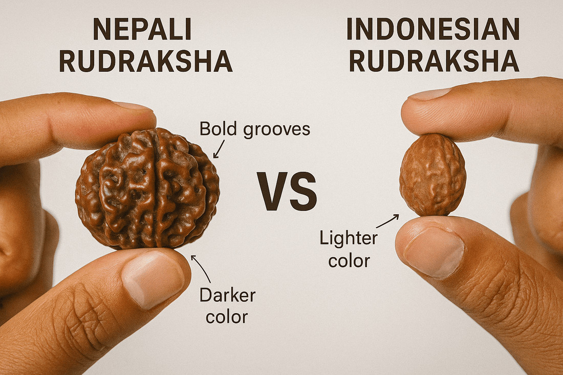 Nepali vs Indonesian Rudraksha: What’s the Difference?