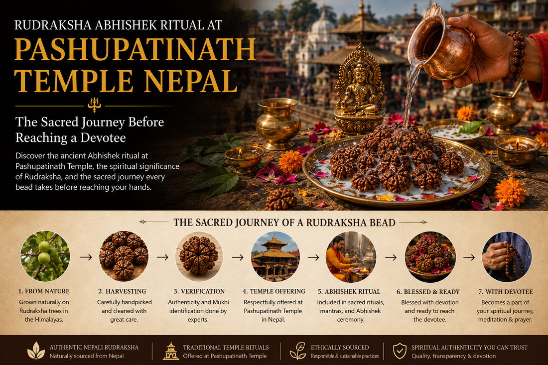 Rudraksha Abhishek Ritual at Pashupatinath Temple Nepal: The Sacred Journey Before Reaching a Devotee