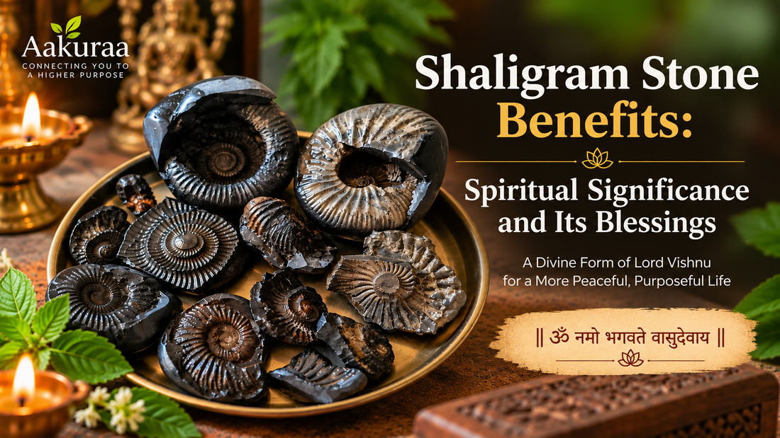 Shaligram Stone Benefits.