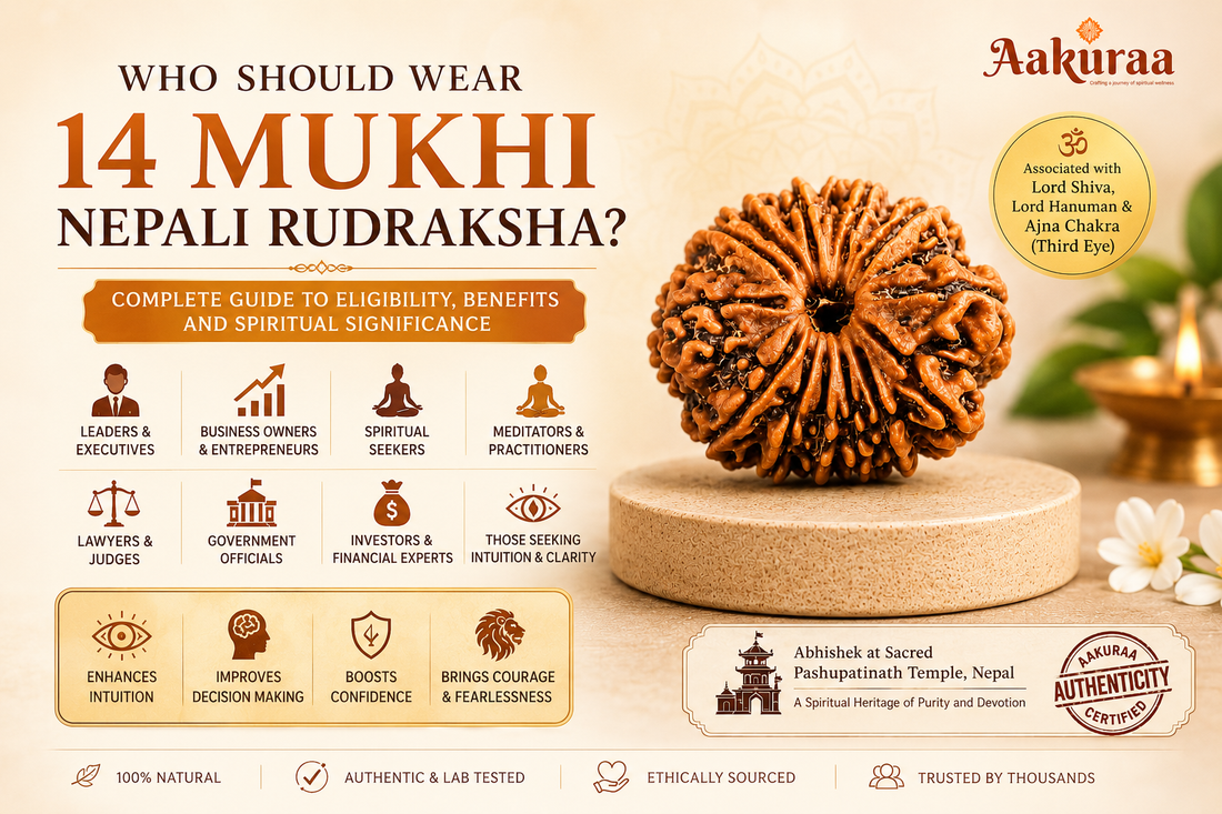 Who Should Wear 14 Mukhi Nepali Rudraksha