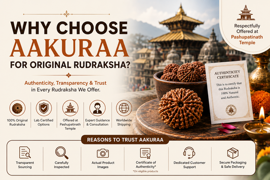 Why Choose Aakuraa for Original Rudraksha?