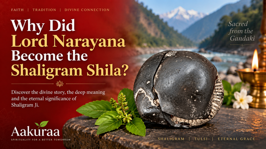 Why Did Lord Narayana Become the Shaligram Shila?