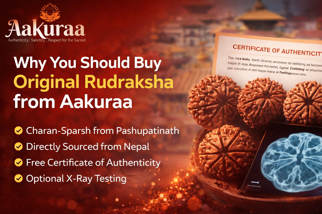 Why You Should Buy Original Rudraksha from Aakuraa