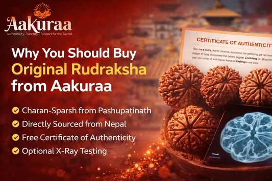 Why You Should Buy Original Rudraksha from Aakuraa