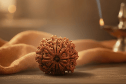 11 Mukhi Nepali Rudraksha