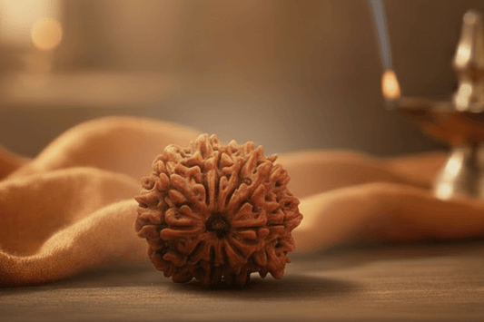 11 Mukhi Nepali Rudraksha