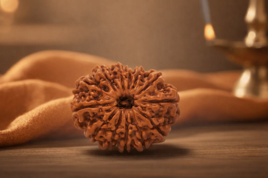 13 Mukhi Nepali Rudraksha | Buy Online 