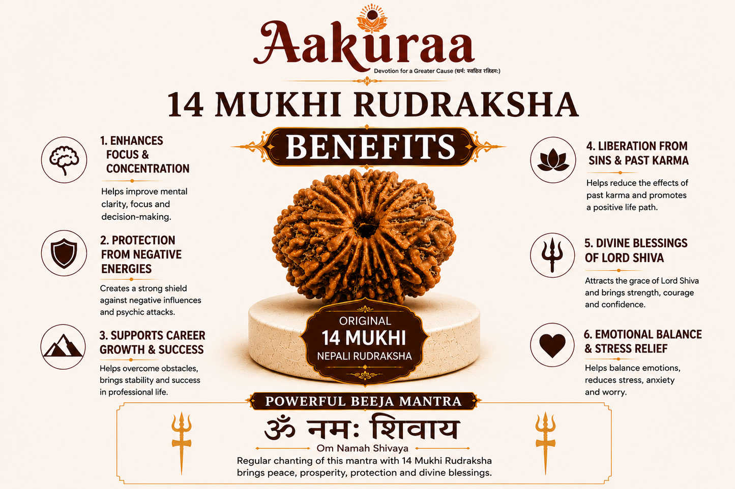 14 Mukhi Nepali Rudraksha Benefits Infographic with Om Namah Shivaya Mantra and Aakuraa Authentic Rudraksha