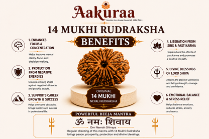 14 Mukhi Nepali Rudraksha Benefits Infographic with Om Namah Shivaya Mantra and Aakuraa Authentic Rudraksha