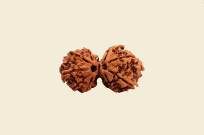 Gauri Shankar Nepali Rudraksha