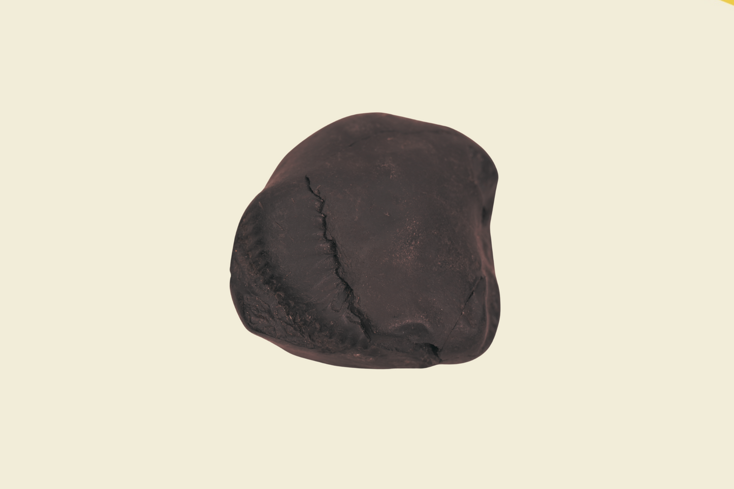 Madhav Shaligram ji