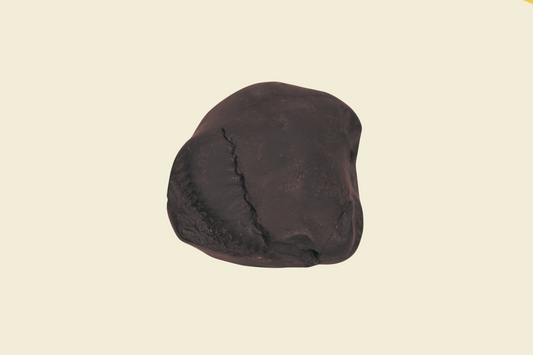 Madhav Shaligram ji