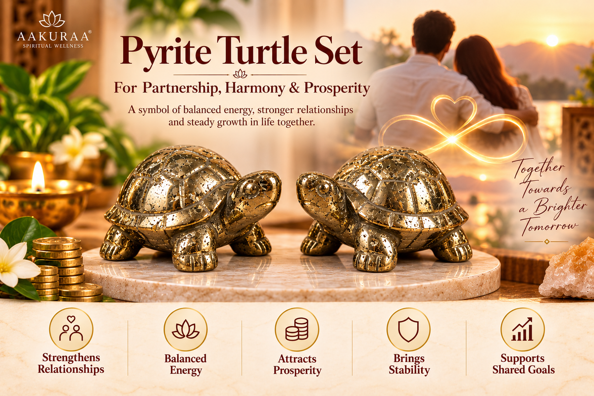 2 Set of Pyrite Turtle for Couple