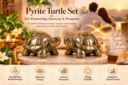 2 Set of Pyrite Turtle for Couple