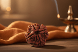 4 Mukhi Nepali Rudraksha