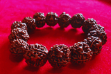 4 Mukhi Nepali Rudraksha Bracelet