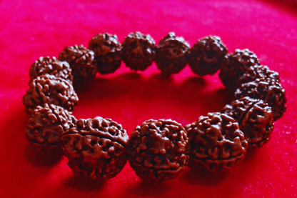 4 Mukhi Nepali Rudraksha Bracelet