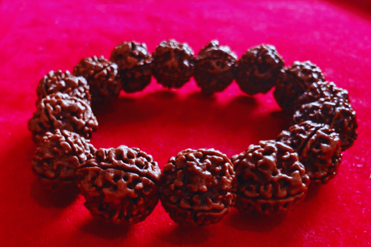 4 Mukhi Nepali Rudraksha Bracelet