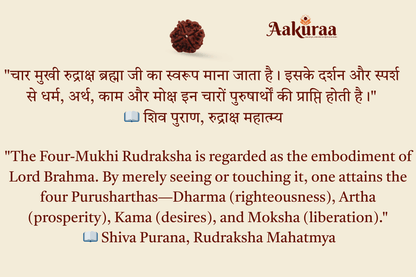 4 Mukhi Nepali Rudraksha