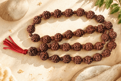 4 Mukhi Nepali Rudraksha Kantha Mala