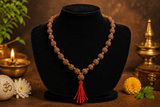 4 Mukhi Nepali Rudraksha Kantha Mala