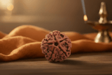 5 Mukhi Nepali Rudraksha