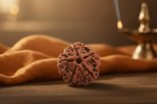 5 Mukhi Nepali Rudraksha