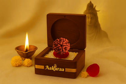 5 Mukhi Nepali Rudraksha