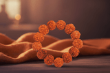 5 Mukhi Nepali  Rudraksha Bracelet