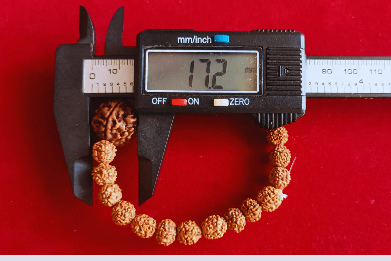 5 Mukhi Nepali Rudraksha Bracelet