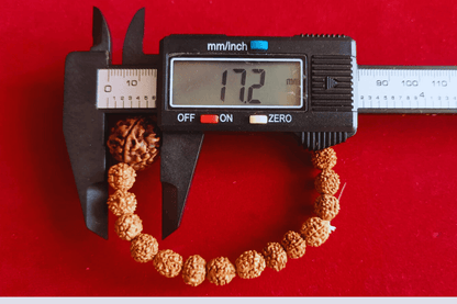 5 Mukhi Nepali Rudraksha Bracelet