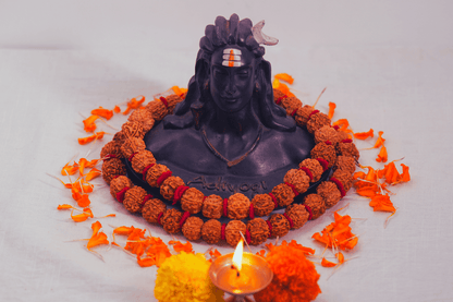 5 Mukhi Nepali Rudraksha Mala (54 beads)