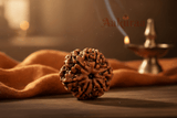 6 Mukhi Nepali Rudraksha