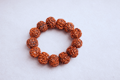 6 Mukhi Nepali Rudraksha Bracelet