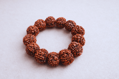 6 Mukhi Nepali Rudraksha Bracelet