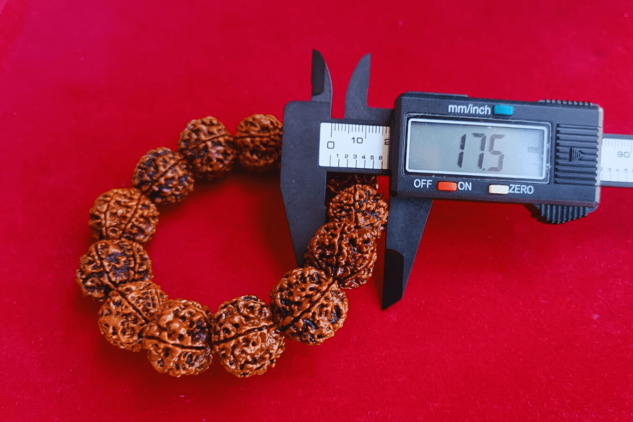 6 Mukhi Nepali Rudraksha Bracelet