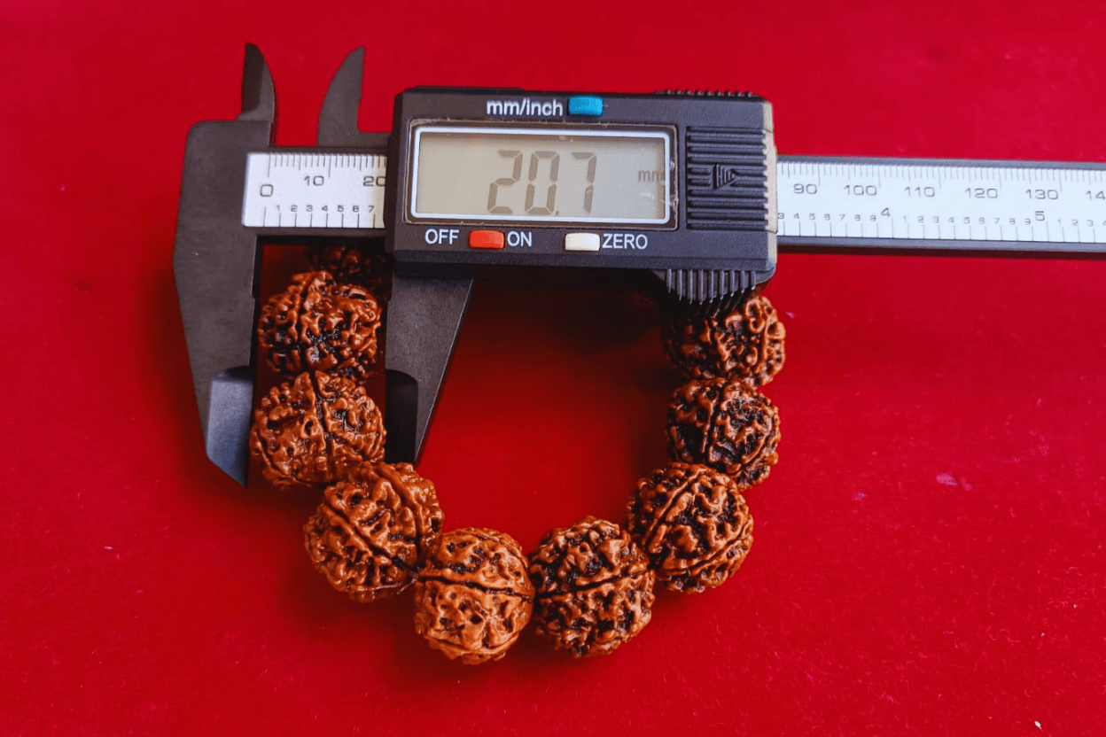 6 Mukhi Nepali Rudraksha Bracelet