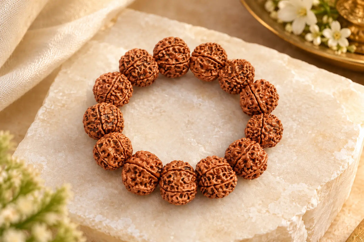7 Mukhi Rudraksha Bracelet